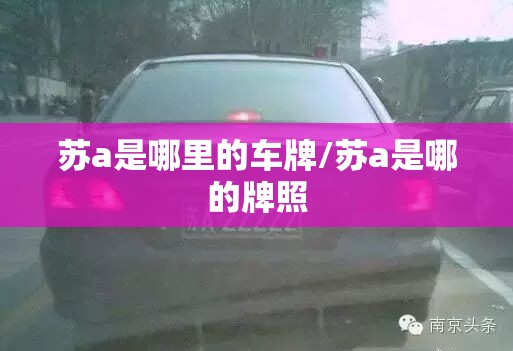 苏a是哪里的车牌/苏a是哪的牌照