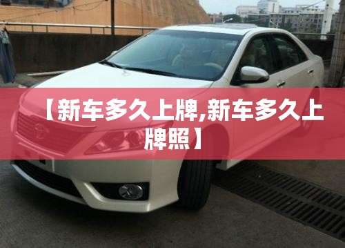 【新车多久上牌,新车多久上牌照】