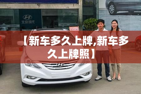 【新车多久上牌,新车多久上牌照】