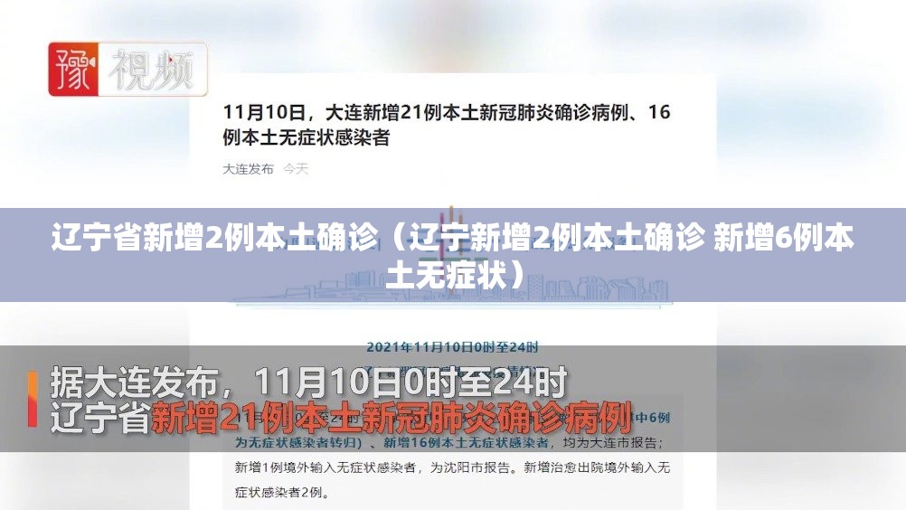 辽宁省新增2例本土确诊(辽宁新增2例本土确诊 新增6例本土无症状) 辽宁省新增2例本土确诊(辽宁新增2例本土确诊 新增6例本土无症状)