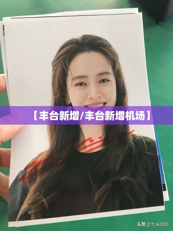 【丰台新增/丰台新增机场】