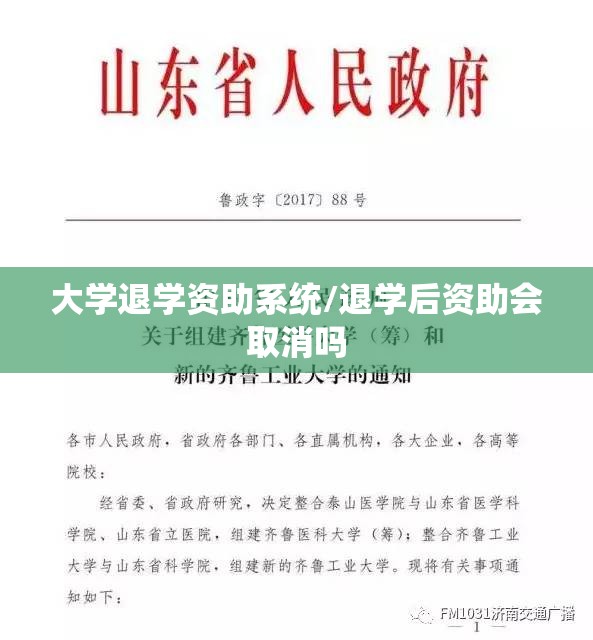 大学退学资助系统/退学后资助会取消吗