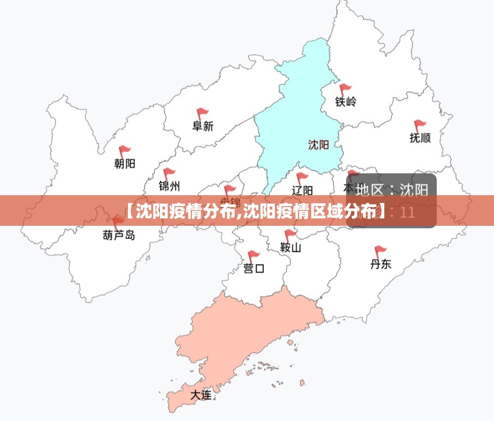【沈阳疫情分布,沈阳疫情区域分布】