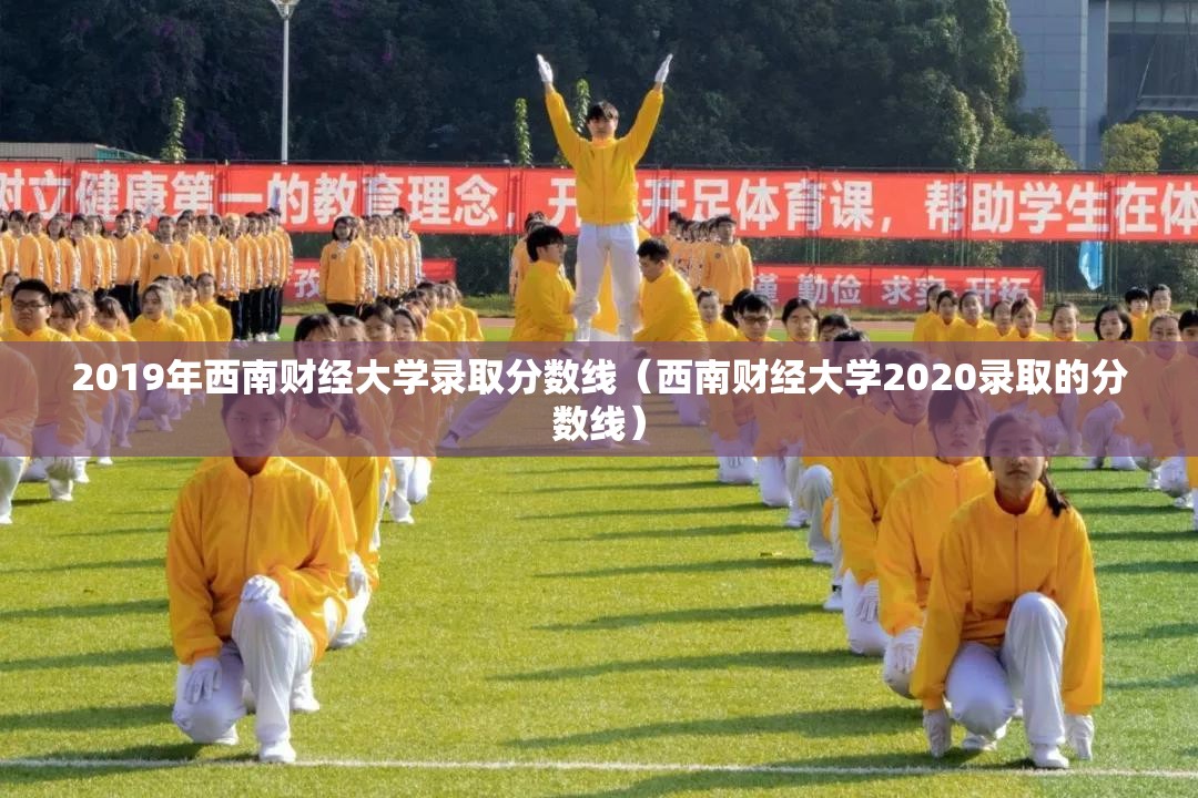 2019年西南财经大学录取分数线（西南财经大学2020录取的分数线）