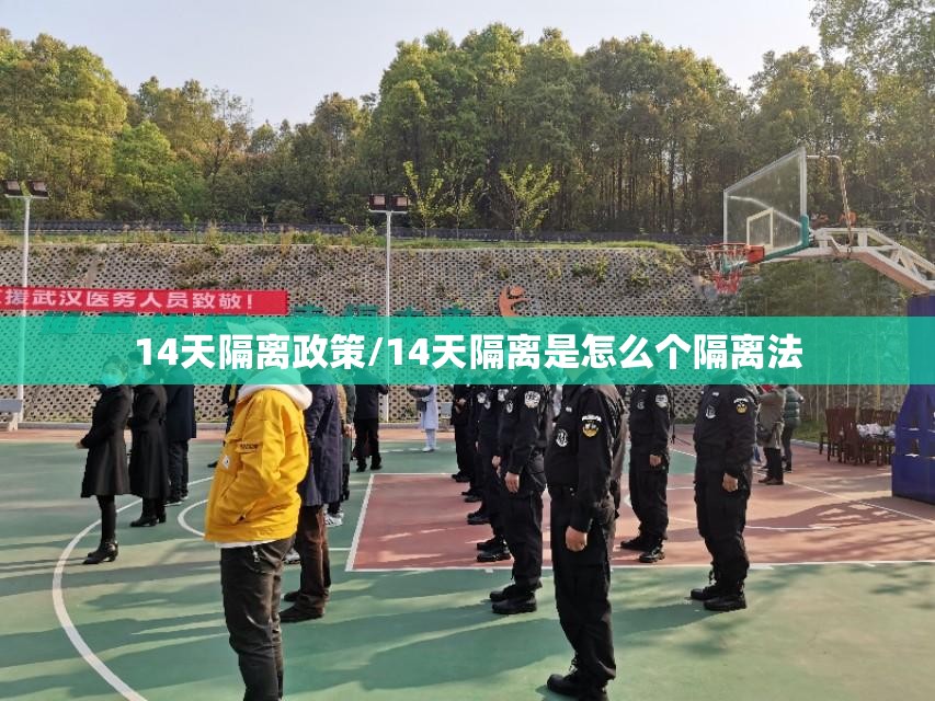 14天隔离政策/14天隔离是怎么个隔离法