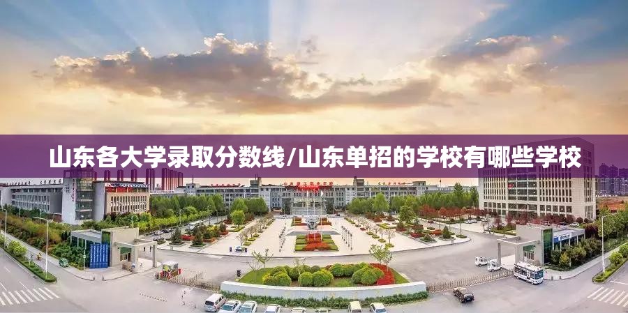 山东各大学录取分数线/山东单招的学校有哪些学校 山东各大学录取分数线/山东单招的学校有哪些学校