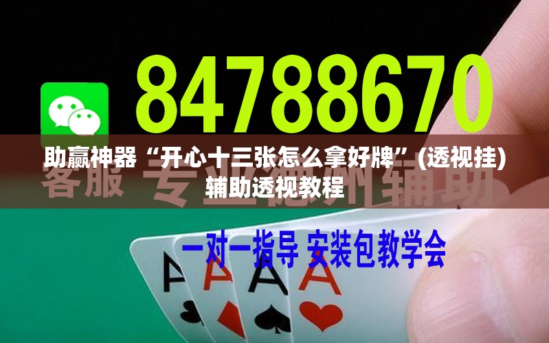 助赢神器“开心十三张怎么拿好牌”(透视挂)辅助透视教程