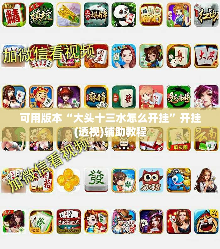 可用版本“大头十三水怎么开挂”开挂(透视)辅助教程