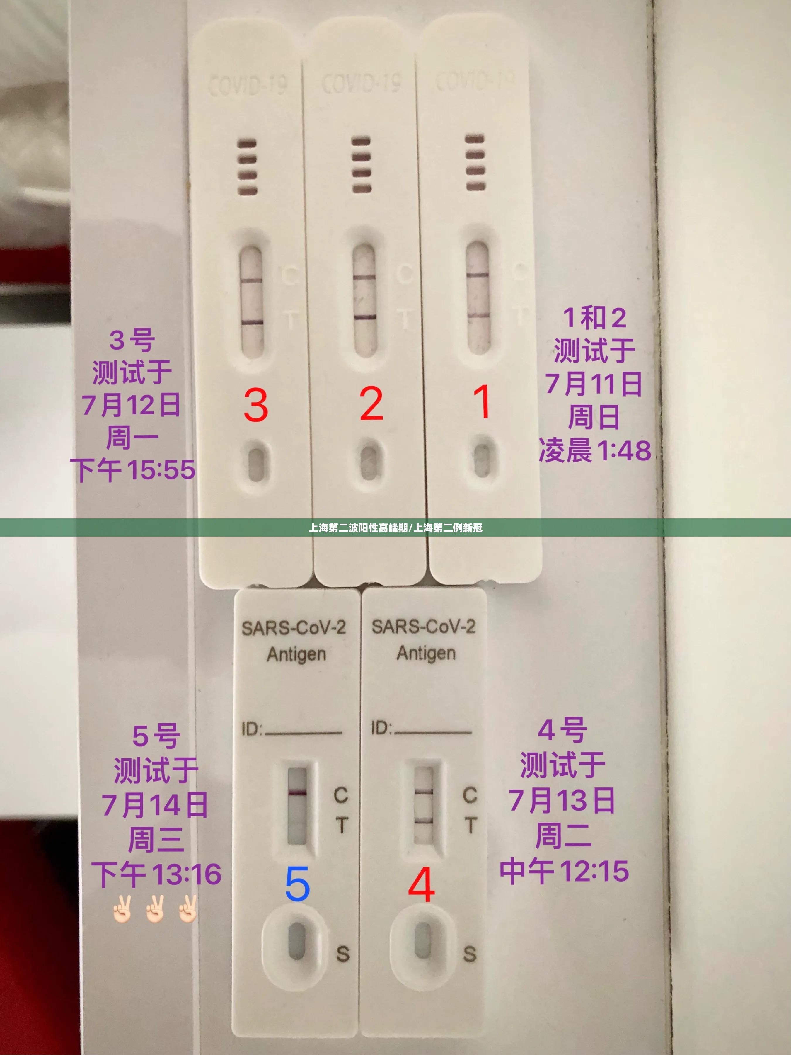 上海第二波阳性高峰期/上海第二例新冠 上海第二波阳性高峰期/上海第二例新冠