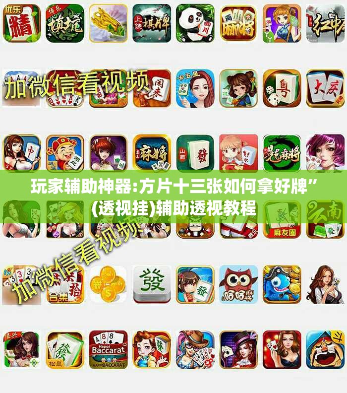 玩家辅助神器:方片十三张如何拿好牌”(透视挂)辅助透视教程