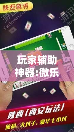 玩家辅助神器:微乐陕西三代怎么拿一手好牌!辅助神器插件下载