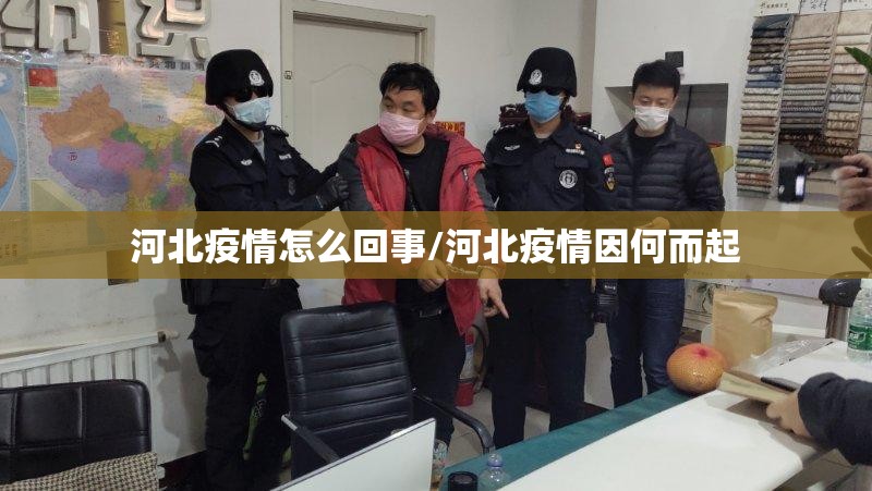河北疫情怎么回事/河北疫情因何而起 河北疫情怎么回事/河北疫情因何而起