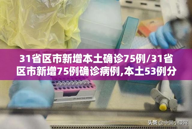 31省区市新增本土确诊75例/31省区市新增75例确诊病例,本土53例分布在8省