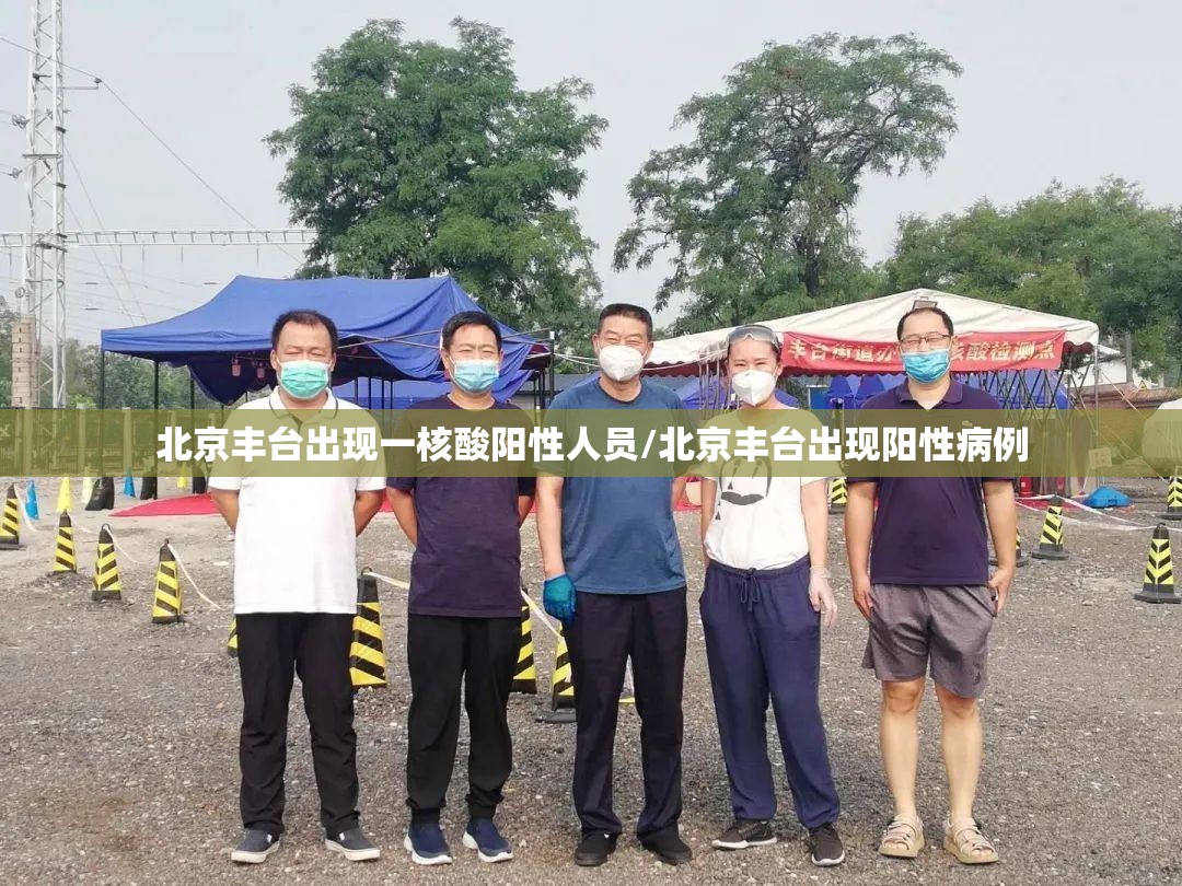 北京丰台出现一核酸阳性人员/北京丰台出现阳性病例