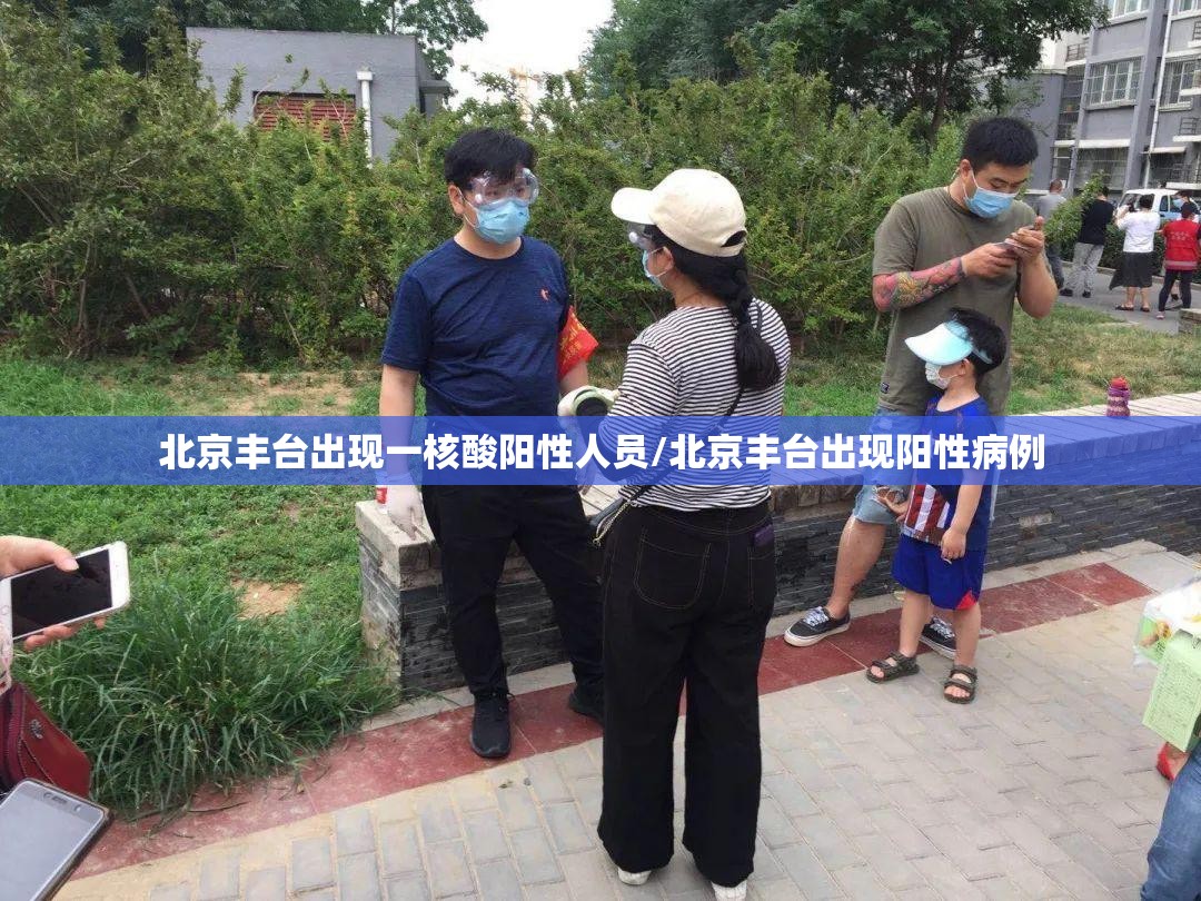 北京丰台出现一核酸阳性人员/北京丰台出现阳性病例