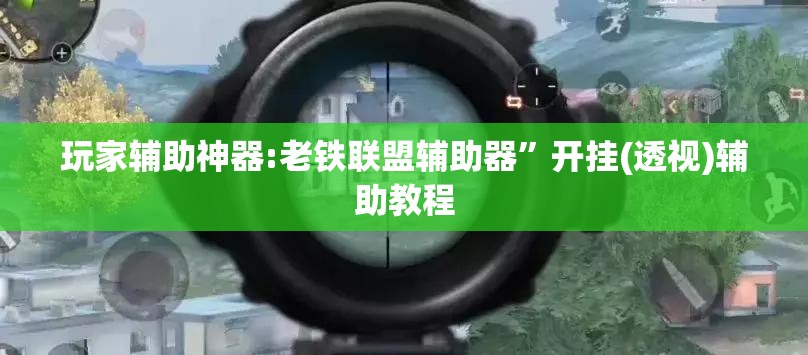 玩家辅助神器:老铁联盟辅助器”开挂(透视)辅助教程