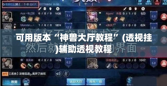可用版本“神兽大厅教程”(透视挂)辅助透视教程
