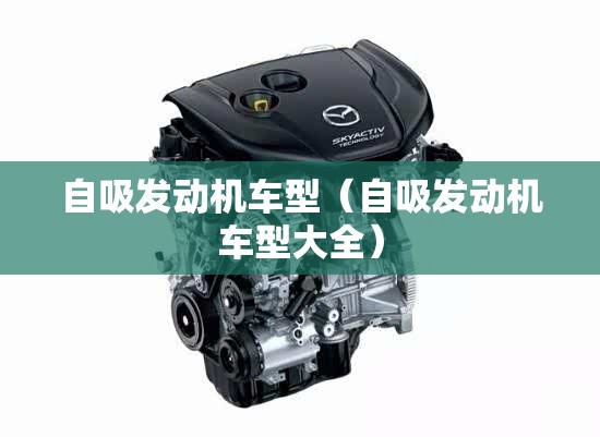 自吸发动机车型（自吸发动机车型大全）