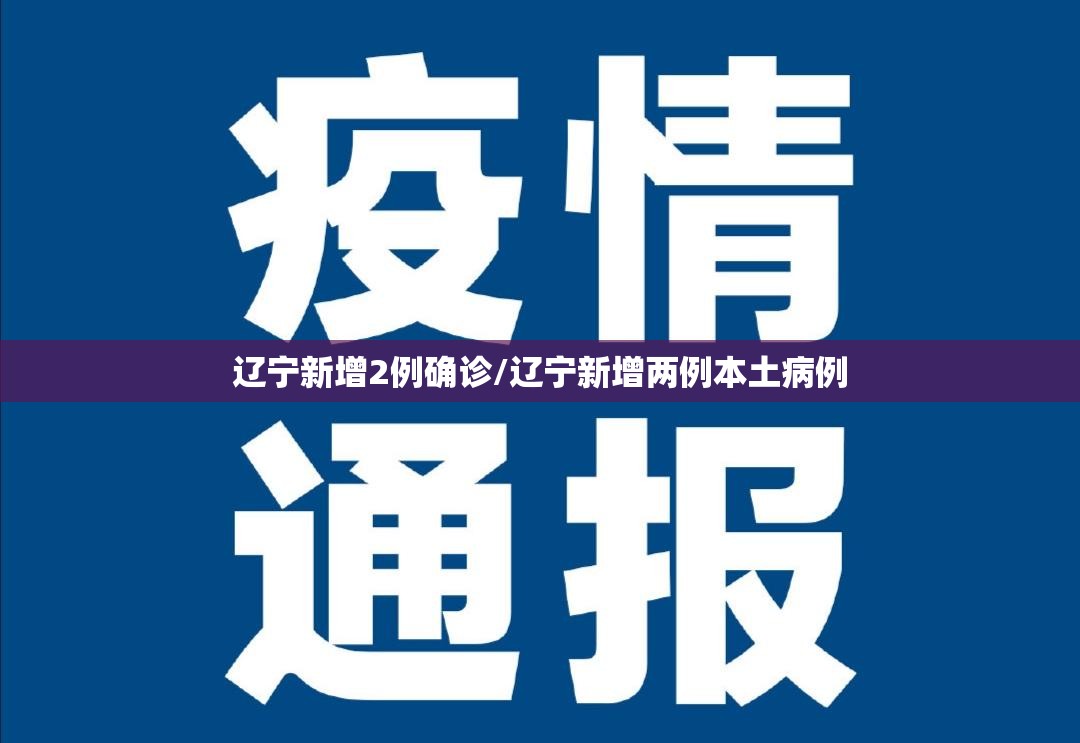 辽宁新增2例确诊/辽宁新增两例本土病例