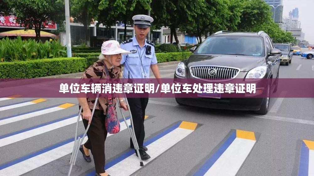 单位车辆消违章证明/单位车处理违章证明