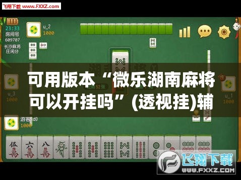 可用版本“微乐湖南麻将可以开挂吗”(透视挂)辅助透视教程