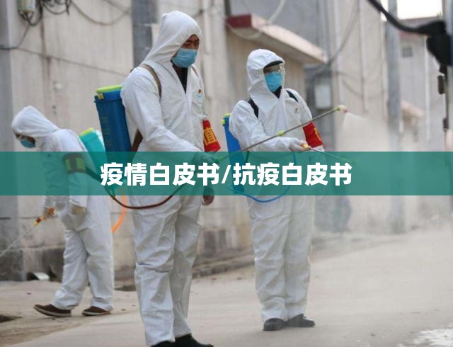疫情白皮书/抗疫白皮书 疫情白皮书/抗疫白皮书