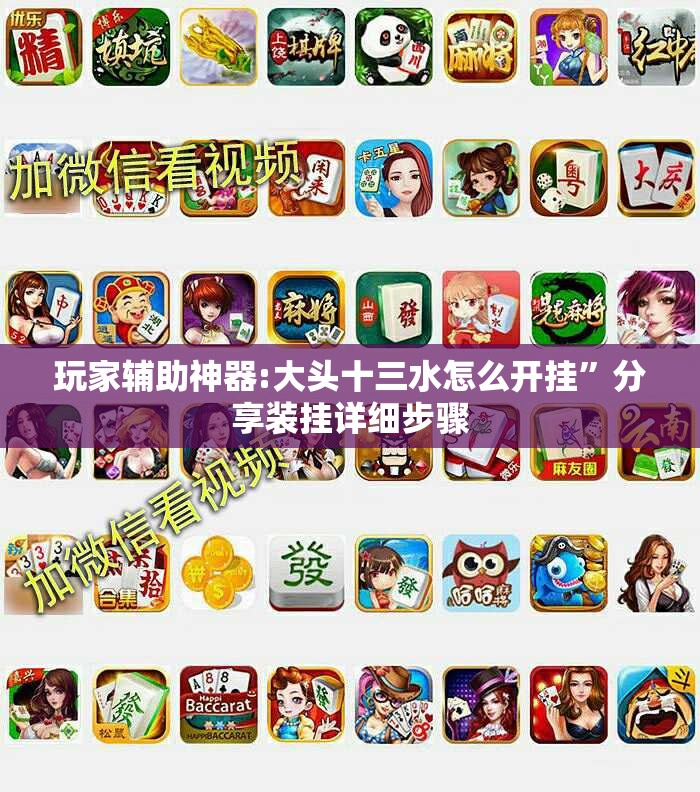 玩家辅助神器:大头十三水怎么开挂”分享装挂详细步骤