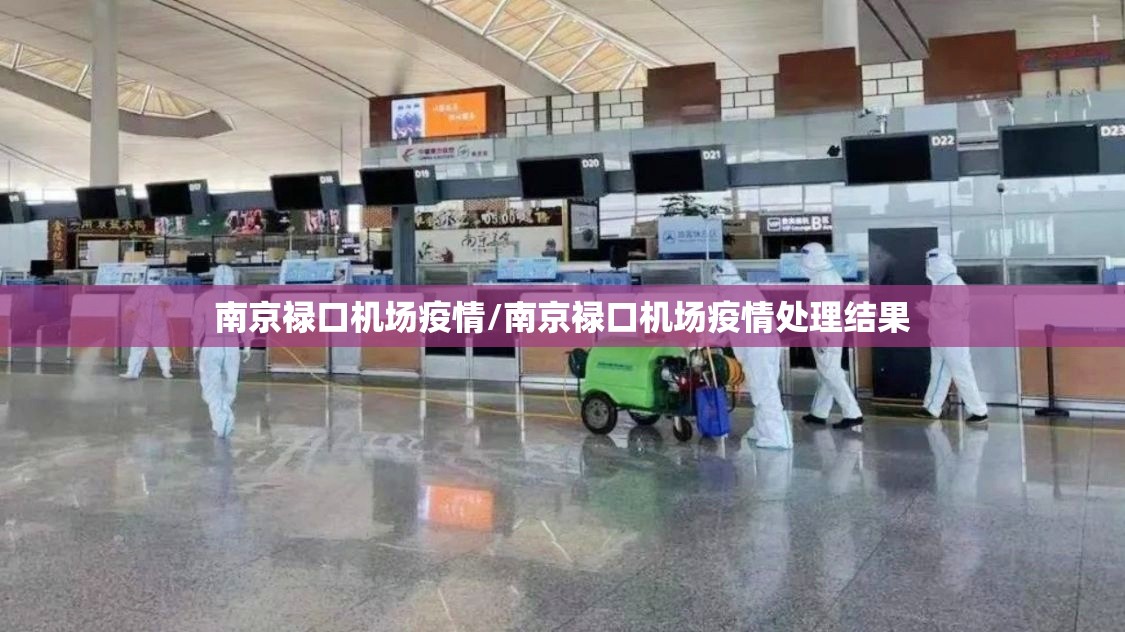 南京禄口机场疫情/南京禄口机场疫情处理结果 南京禄口机场疫情/南京禄口机场疫情处理结果