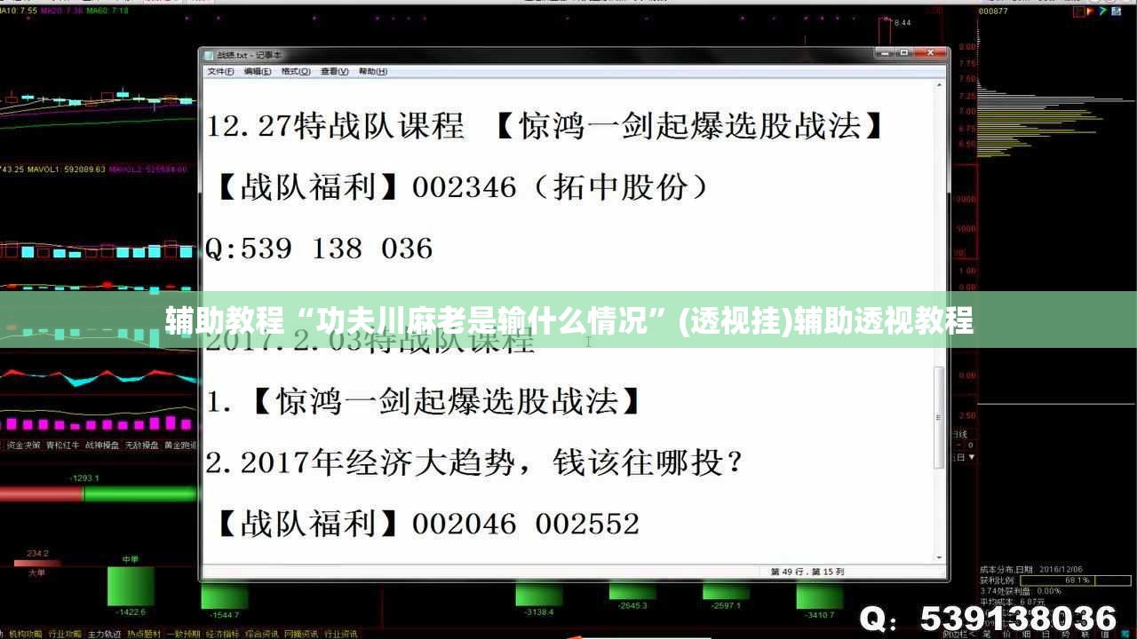 辅助教程“功夫川麻老是输什么情况”(透视挂)辅助透视教程