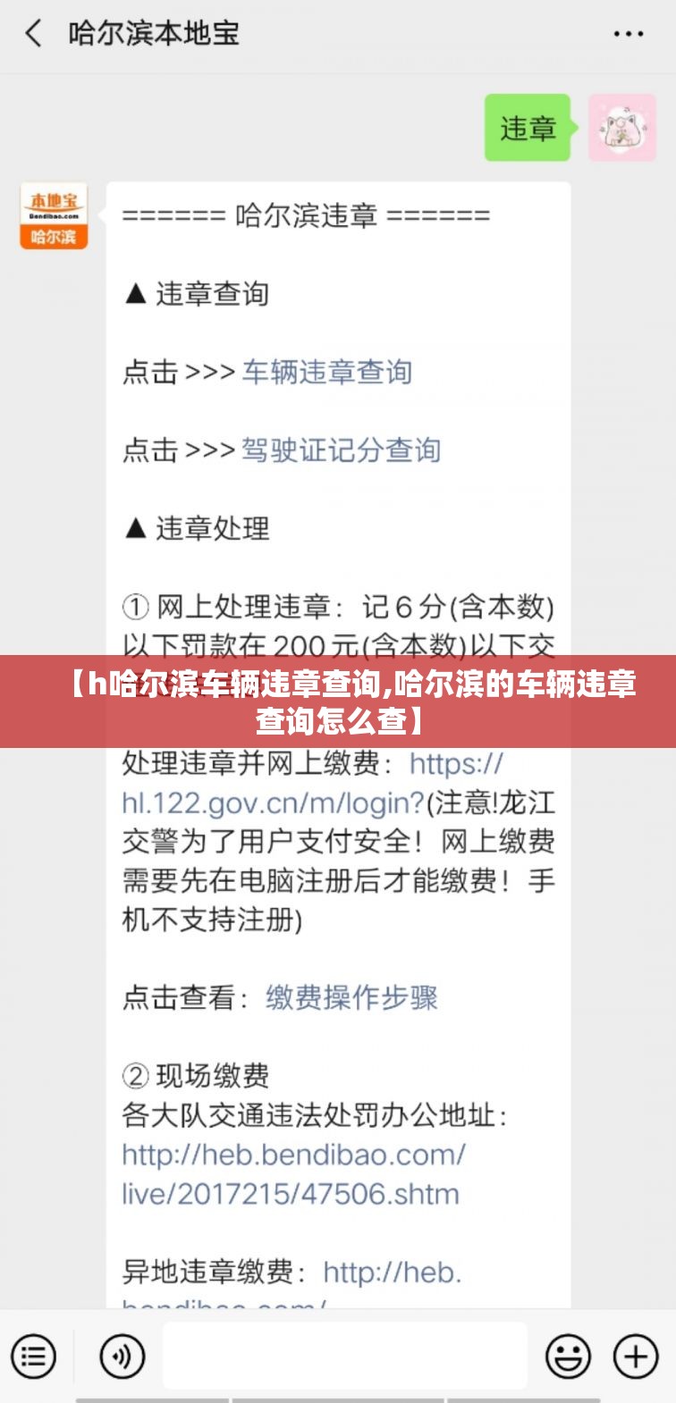 【h哈尔滨车辆违章查询,哈尔滨的车辆违章查询怎么查】 【h哈尔滨车辆违章查询,哈尔滨的车辆违章查询怎么查】