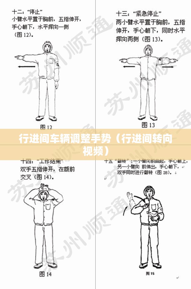 行进间车辆调整手势(行进间转向视频) 行进间车辆调整手势(行进间转向视频)