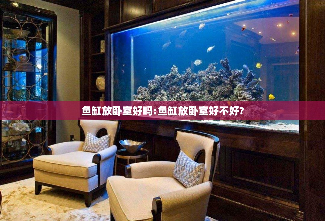 鱼缸放卧室好吗:鱼缸放卧室好不好?