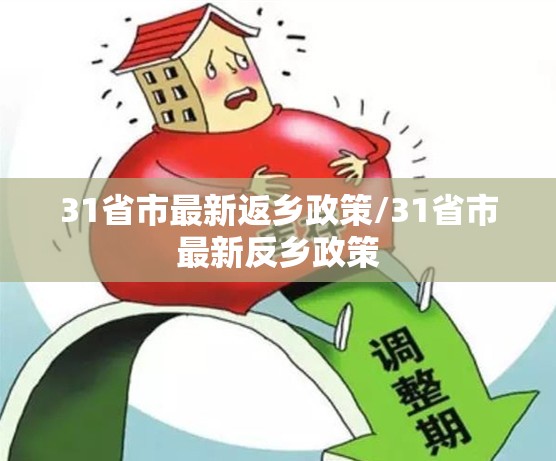 31省市最新返乡政策/31省市最新反乡政策 31省市最新返乡政策/31省市最新反乡政策