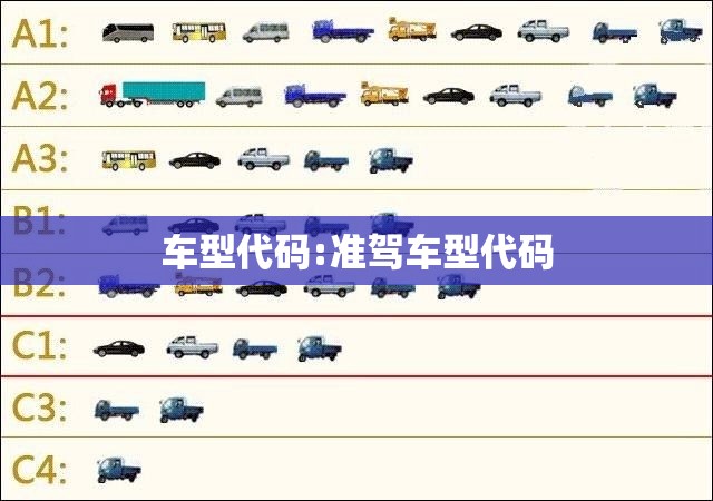 车型代码:准驾车型代码