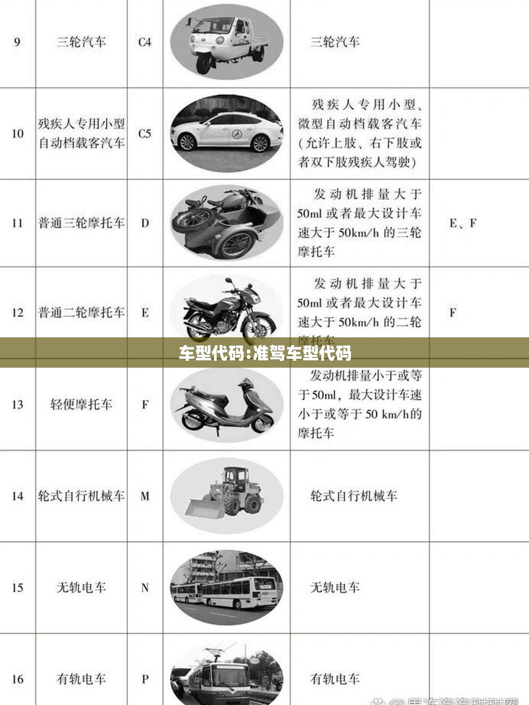 车型代码:准驾车型代码