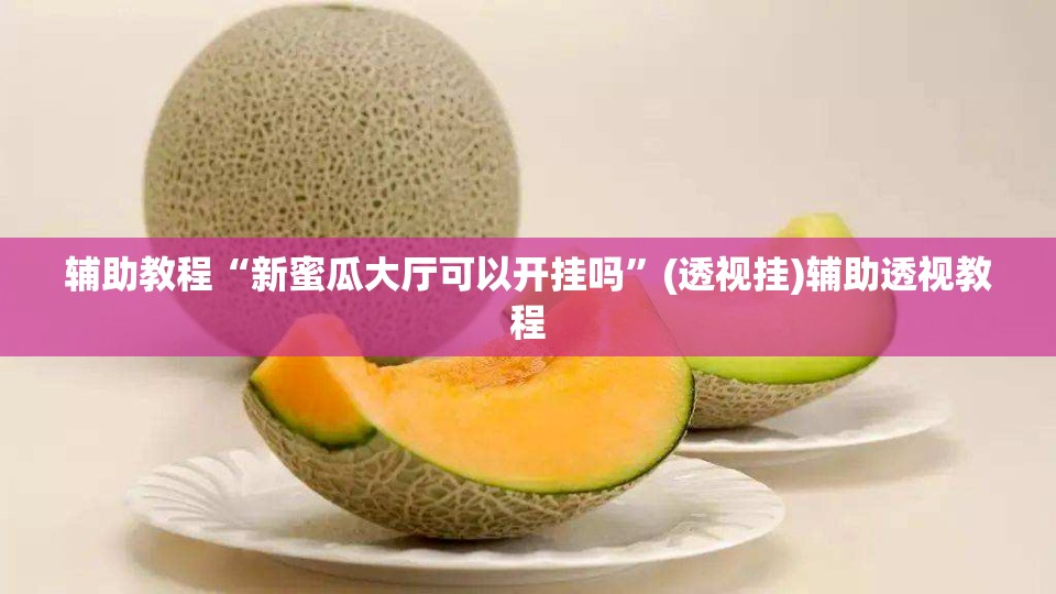 辅助教程“新蜜瓜大厅可以开挂吗	”(透视挂)辅助透视教程