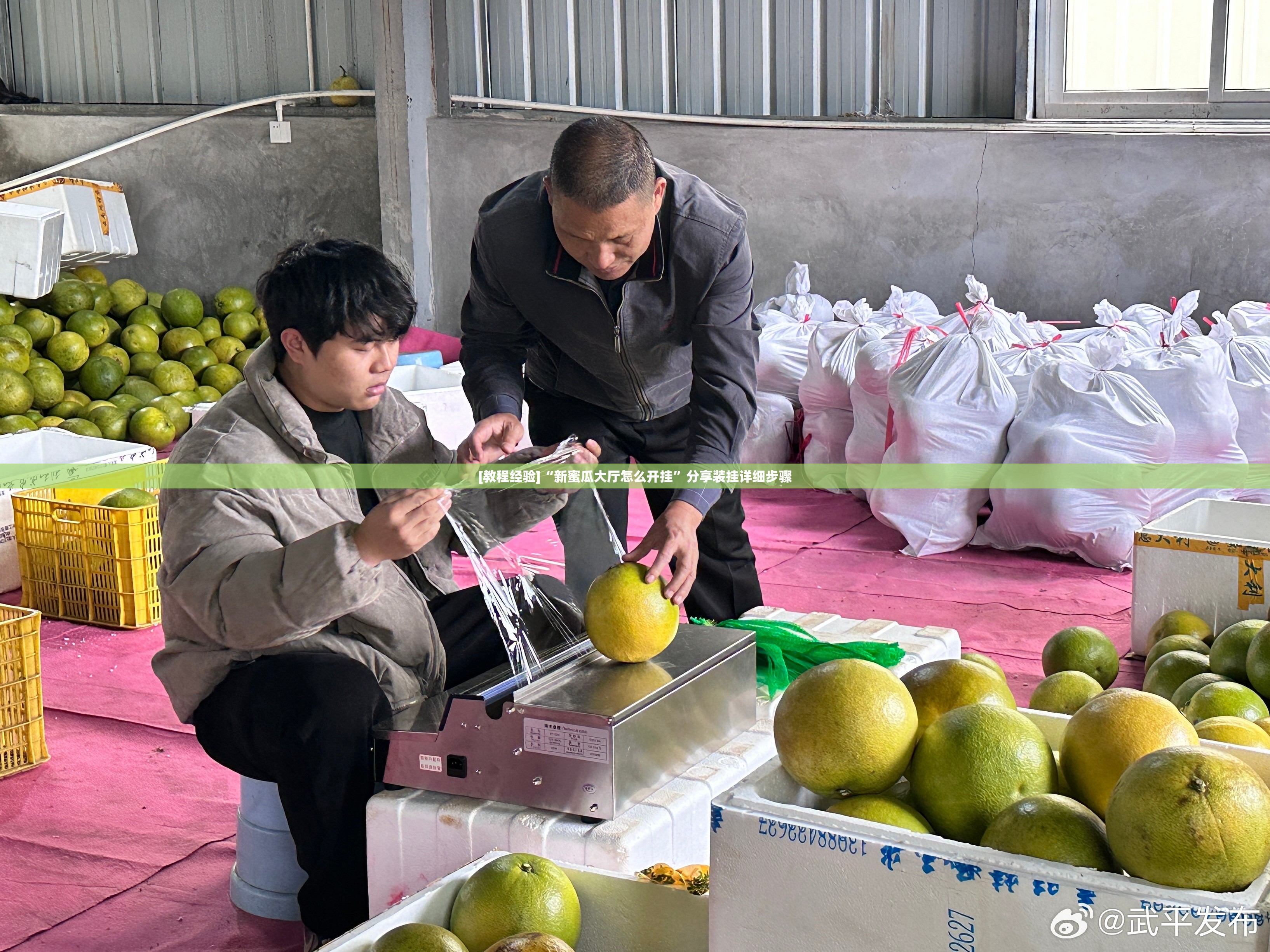 [教程经验]“新蜜瓜大厅怎么开挂”分享装挂详细步骤