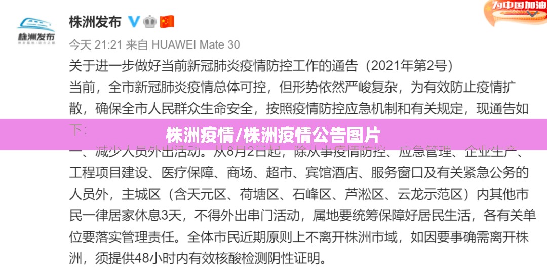 株洲疫情/株洲疫情公告图片