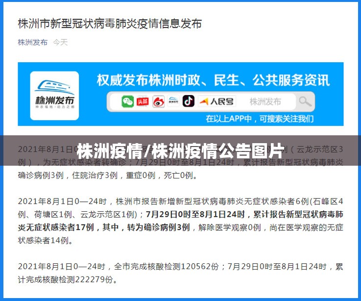 株洲疫情/株洲疫情公告图片