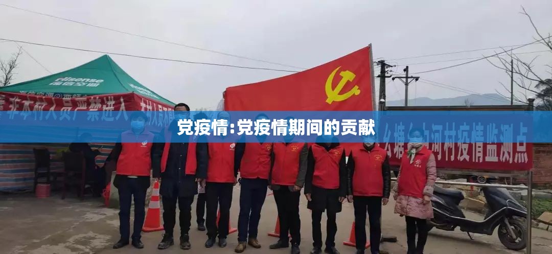 党疫情:党疫情期间的贡献 党疫情:党疫情期间的贡献