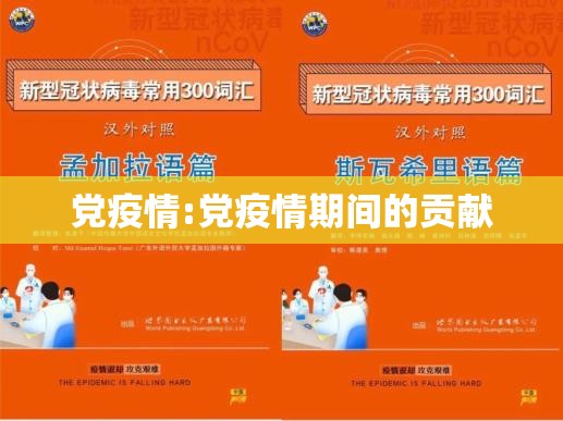 党疫情:党疫情期间的贡献 党疫情:党疫情期间的贡献