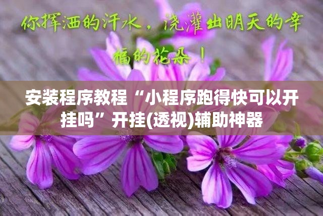 安装程序教程“小程序跑得快可以开挂吗”开挂(透视)辅助神器