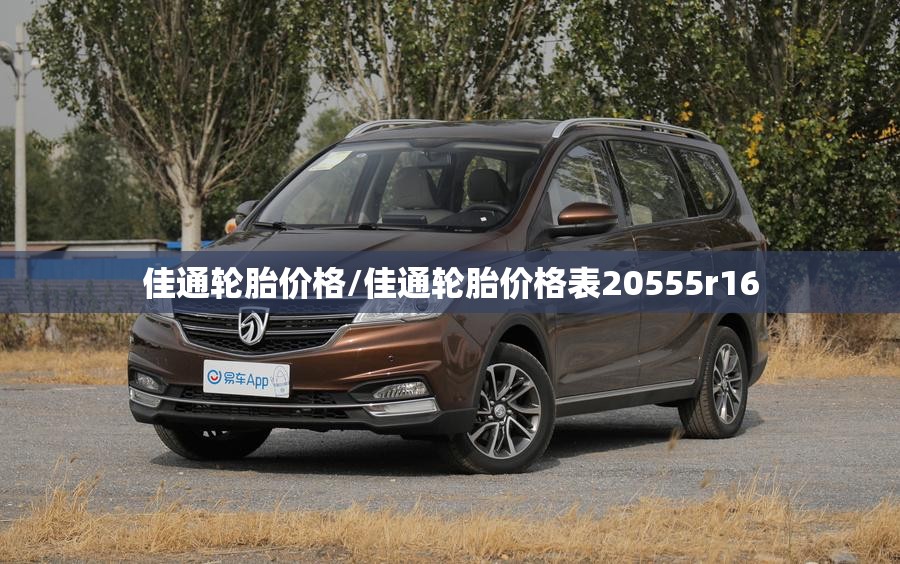 佳通轮胎价格/佳通轮胎价格表20555r16 佳通轮胎价格/佳通轮胎价格表20555r16
