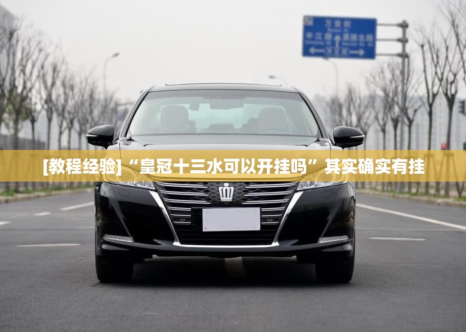 [教程经验]“皇冠十三水可以开挂吗”其实确实有挂