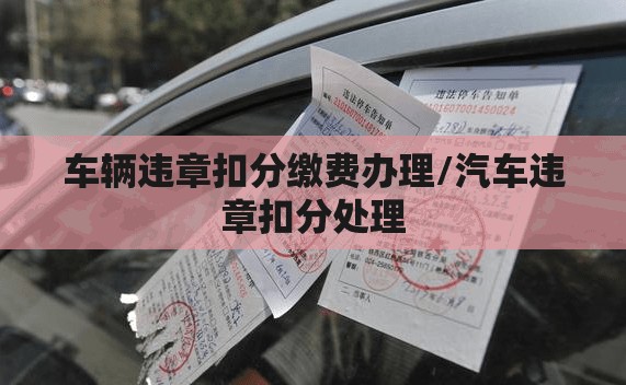 车辆违章扣分缴费办理/汽车违章扣分处理 车辆违章扣分缴费办理/汽车违章扣分处理