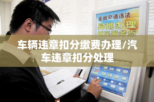 车辆违章扣分缴费办理/汽车违章扣分处理 车辆违章扣分缴费办理/汽车违章扣分处理