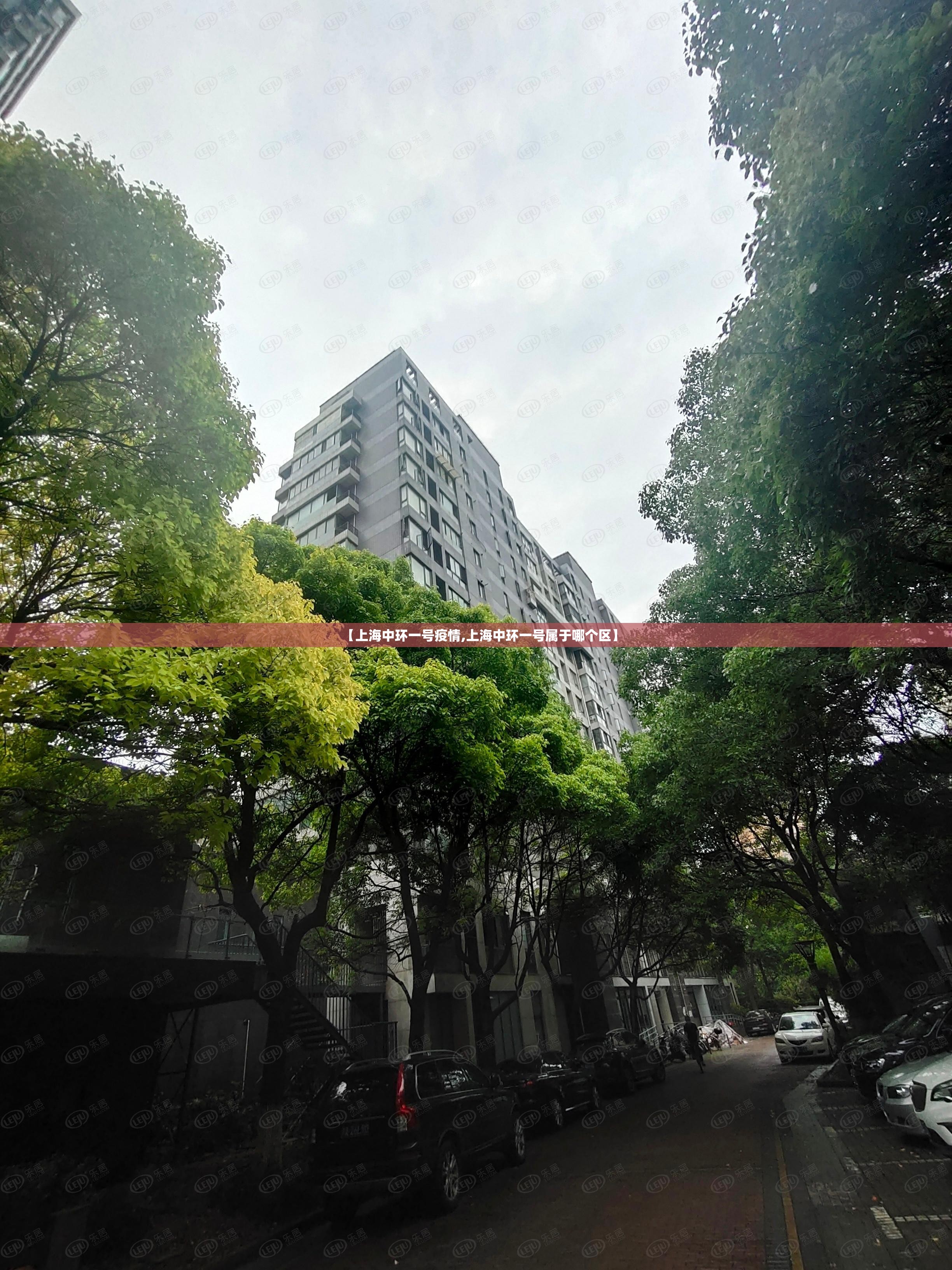 【上海中环一号疫情,上海中环一号属于哪个区】