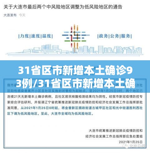31省区市新增本土确诊93例/31省区市新增本土确诊 13例 31省区市新增本土确诊93例/31省区市新增本土确诊 13例