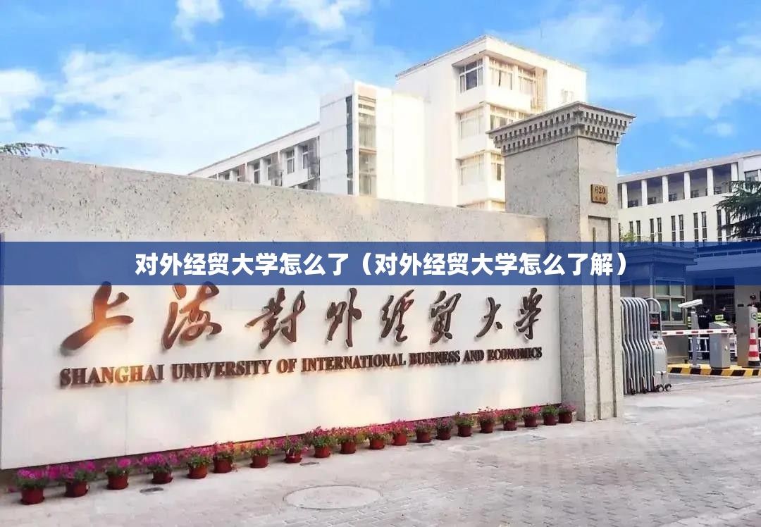 对外经贸大学怎么了（对外经贸大学怎么了解）