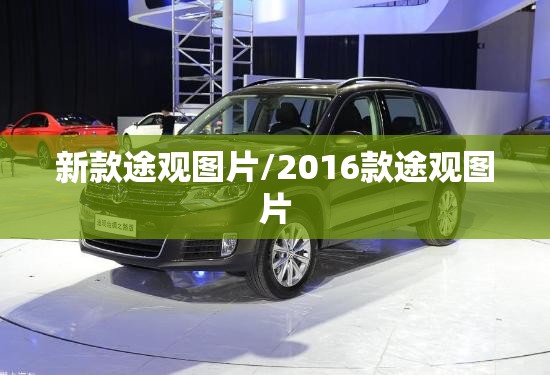 新款途观图片/2016款途观图片